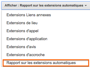 Rapport Extensions Automatiques