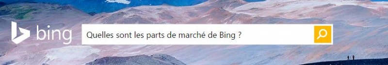 Parts de marché bing