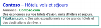 extensions avis Bing