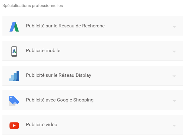 Spécialisations Google Partners