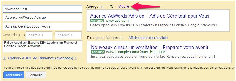 Visualisation_Adwords_PC