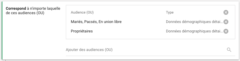 Données démographiques - Audiences combinées Google Ads