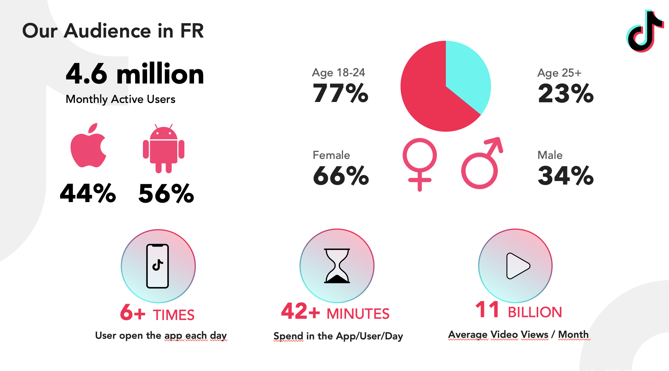 TikTok Ads