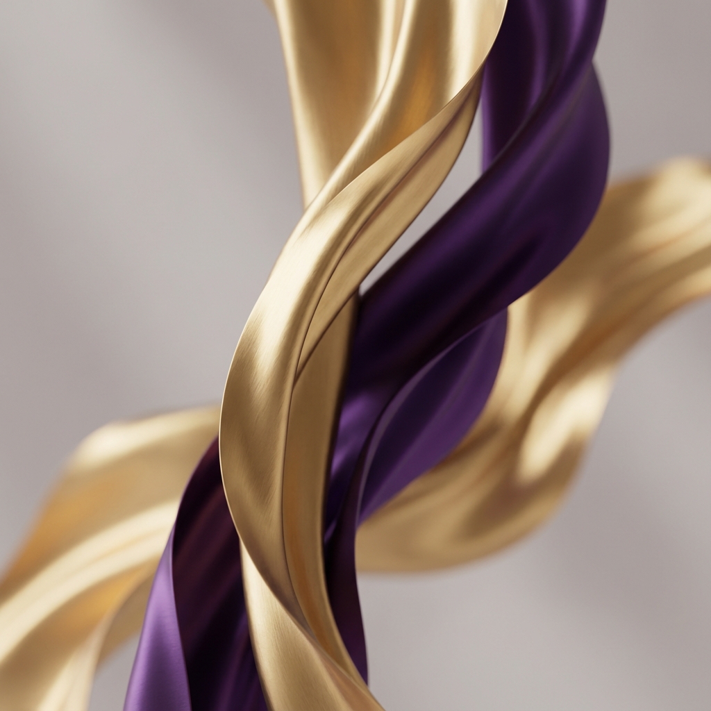 VOTRE VISION À 360°